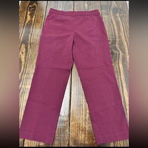 Briggs New York Burgundy Pants